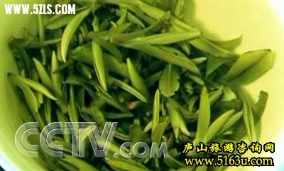 clip_image001.jpg