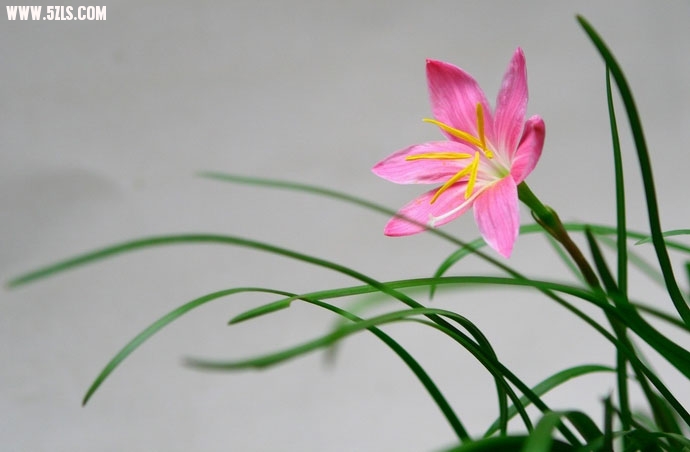 clip_image001.jpg