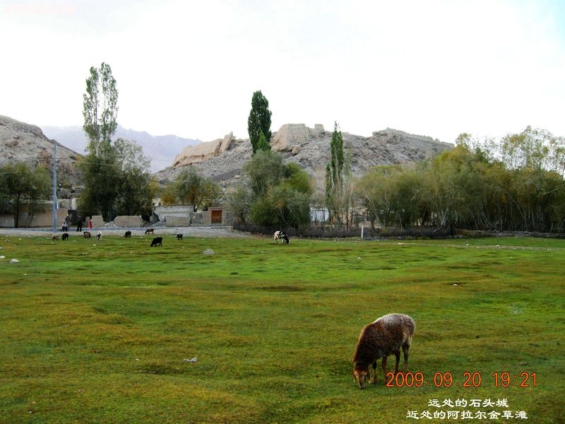 DSCN4220.JPG