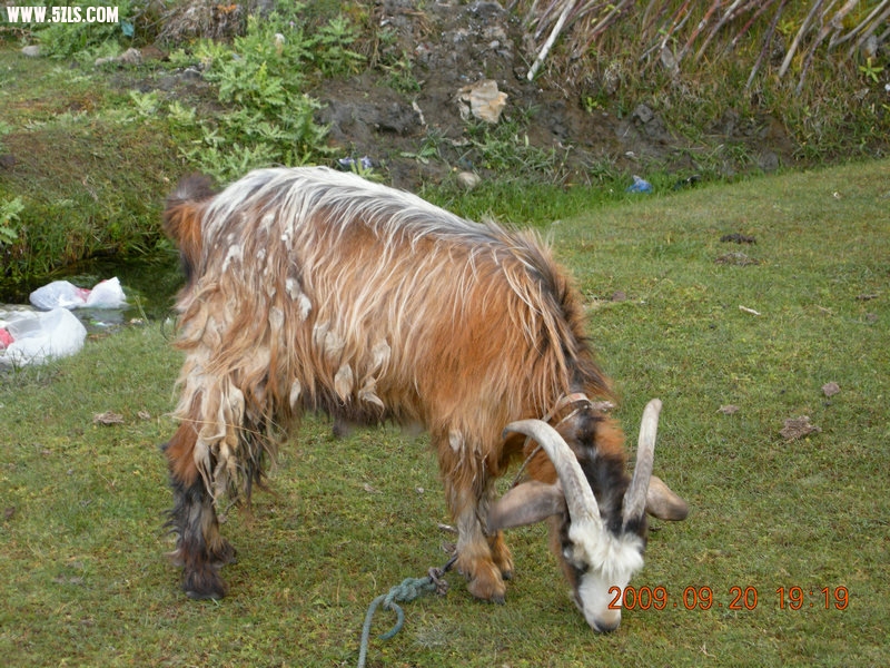 DSCN4217.JPG