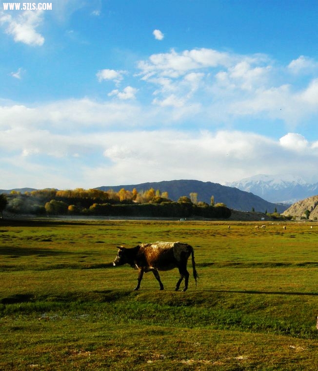 DSCN4235.JPG