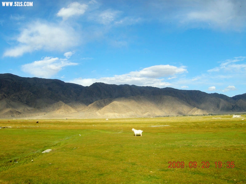 DSCN4237.JPG