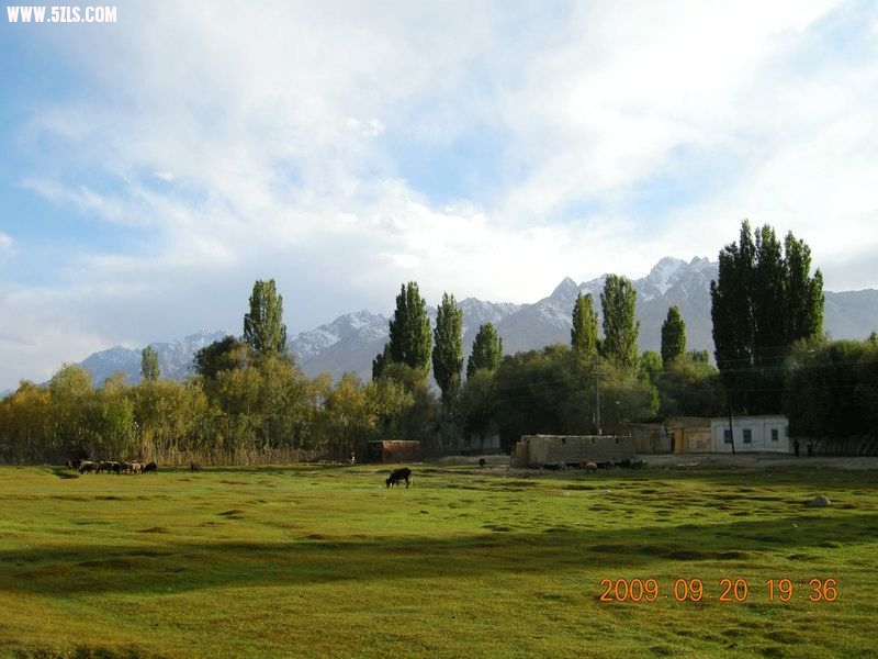 DSCN4239.JPG