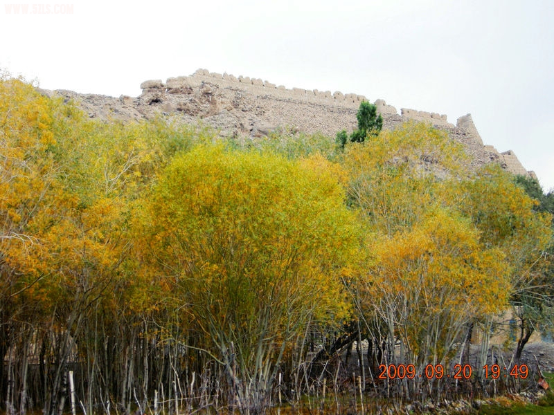 DSCN4251.JPG