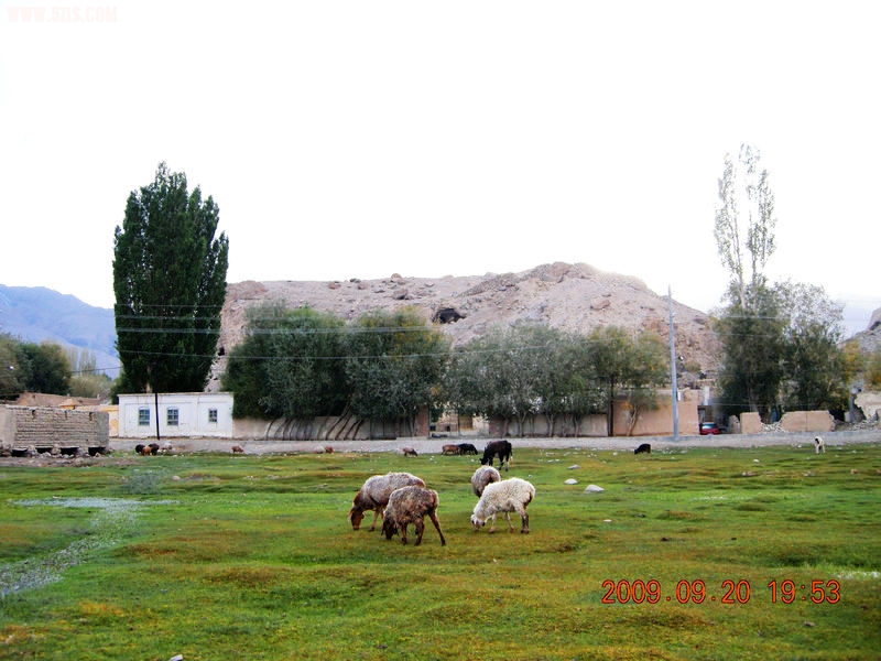 DSCN4254.JPG
