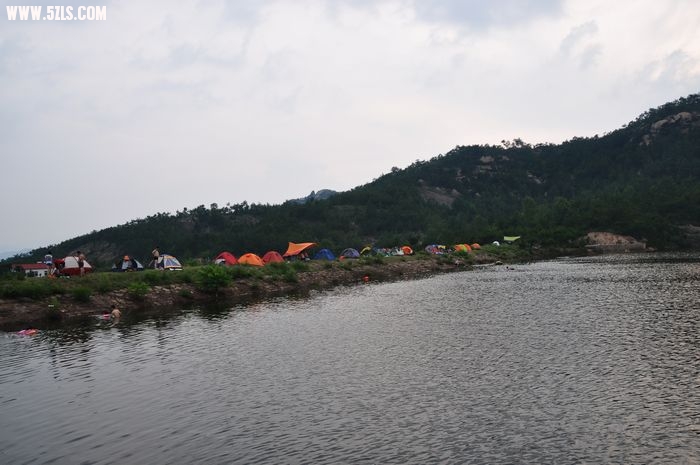 DSC_1590.jpg