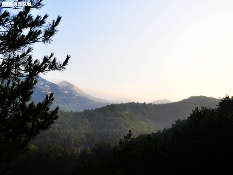 DSC_0133-1.jpg