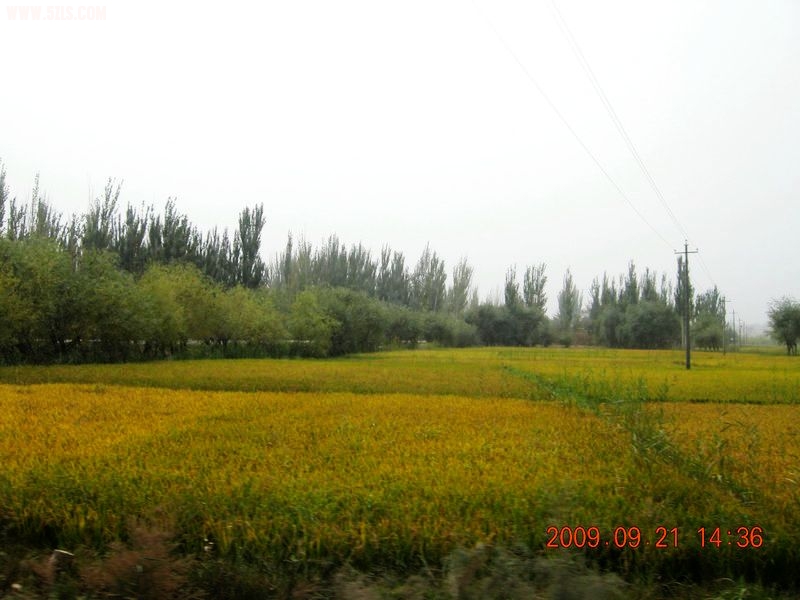 DSCN4387.JPG