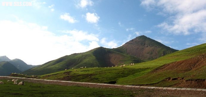 IMG_2471.jpg