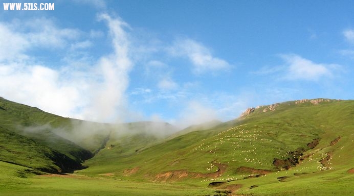 IMG_2510.jpg