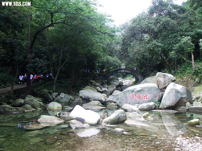 DSCF2727.JPG