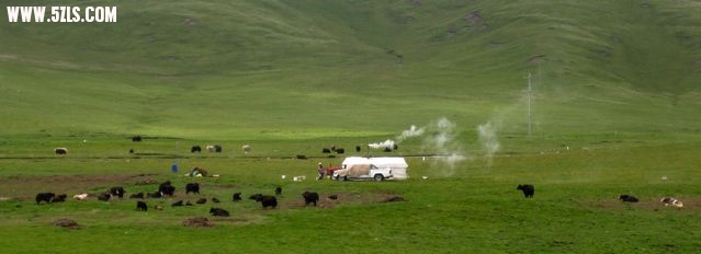 IMG_3103.jpg