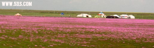 IMG_3216.jpg
