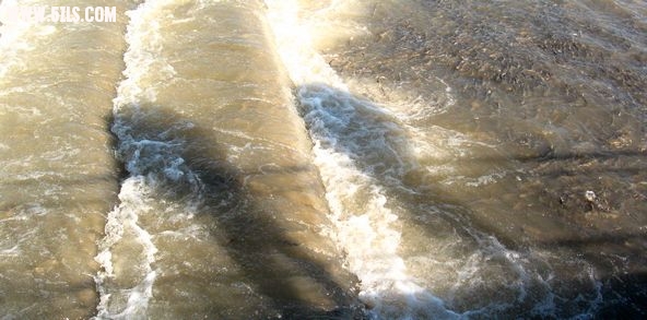 IMG_3280.jpg