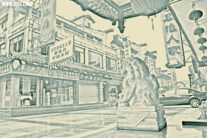 DSC_0982.jpg