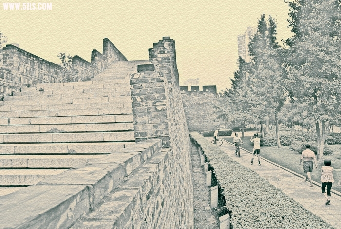 DSC_1061.jpg