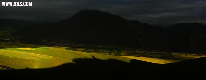 IMG_3421.jpg