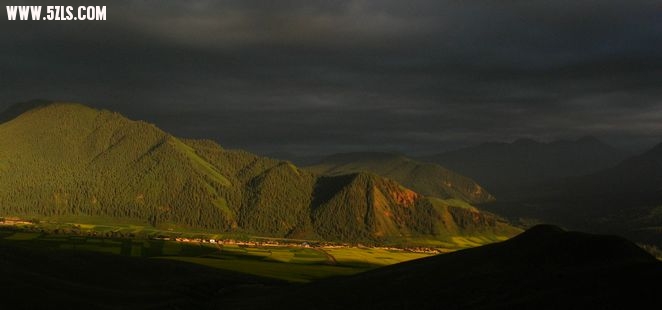 IMG_3443.jpg