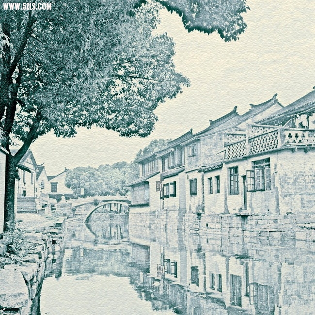 DSC_12150.jpg