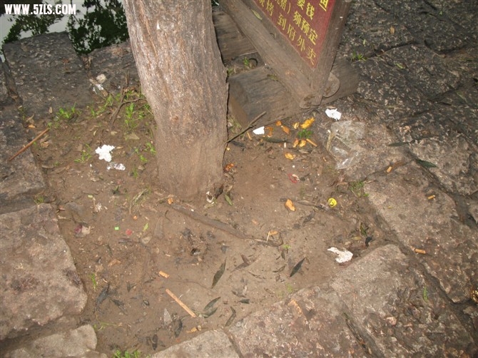 20100810082906.jpg