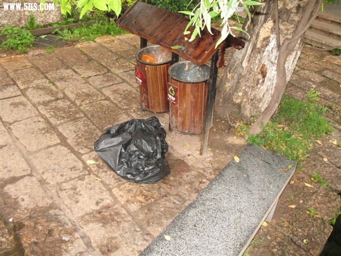 20100810082834.jpg