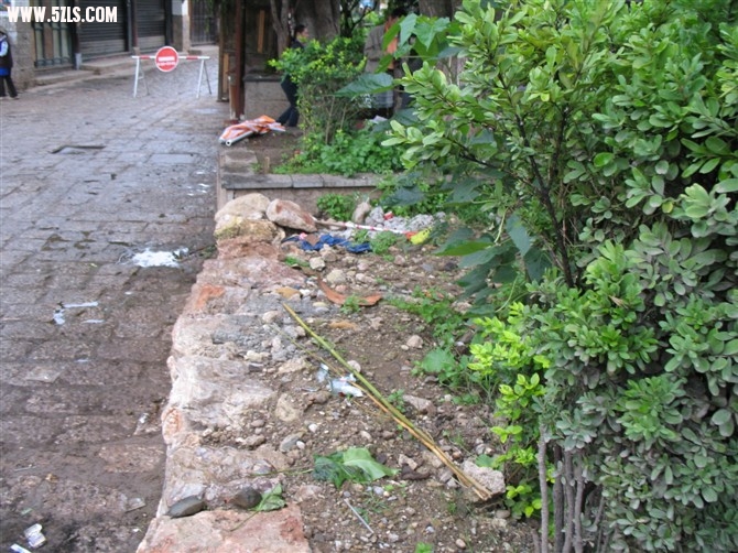 20100810083035.jpg