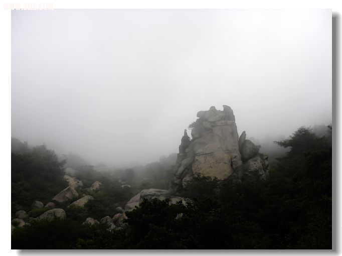 ൺ 473.jpg