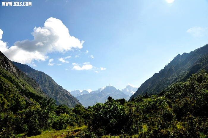 DSC_0304-1.jpg