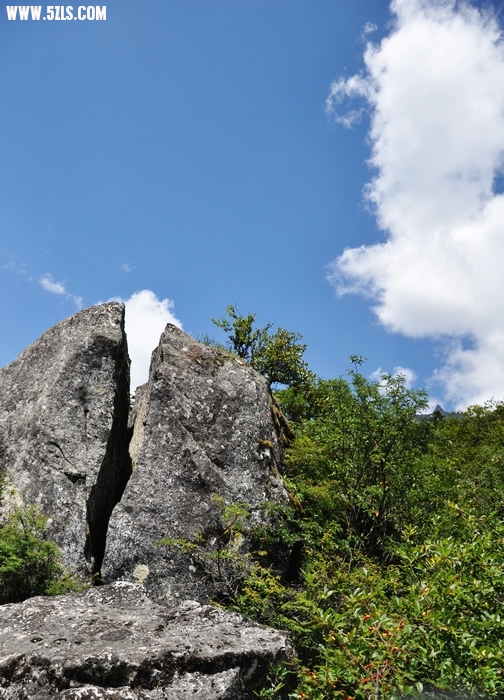 DSC_0326-1.jpg