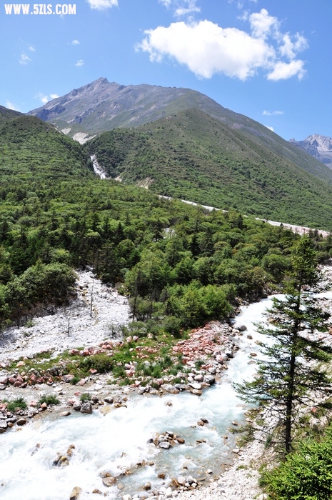 DSC_0332-1.jpg