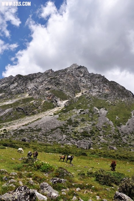 DSC_0347-1.jpg
