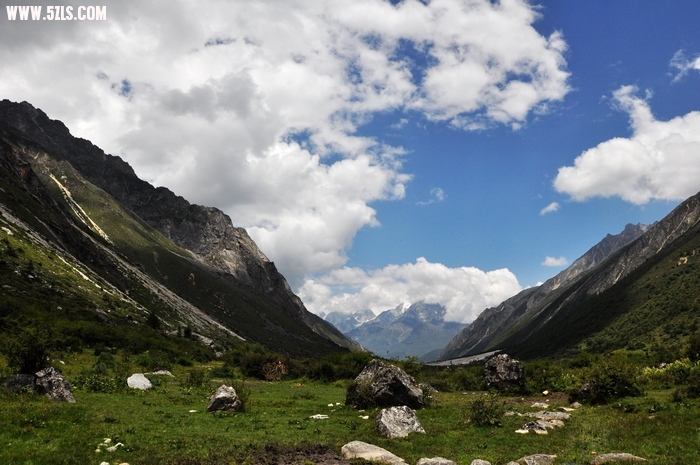DSC_0352-1.jpg