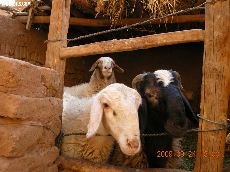 DSCN4528.JPG
