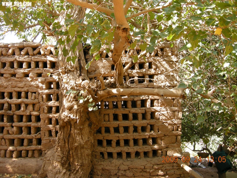 DSCN4533.JPG