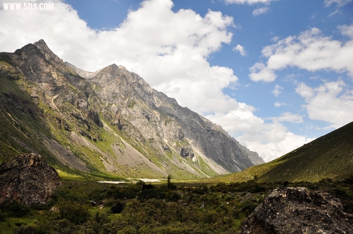 DSC_0390-1.jpg