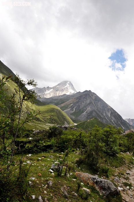 DSC_0397-1.jpg