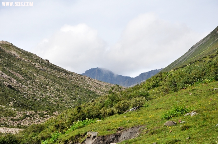 DSC_0445-1.jpg