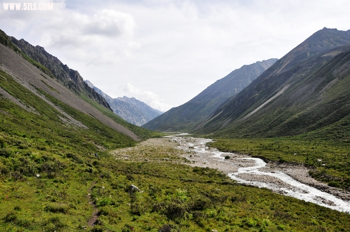 DSC_0447-1.jpg