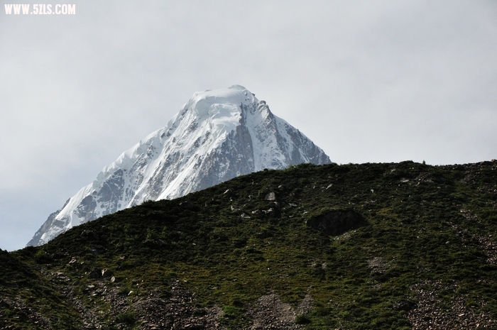 DSC_0460-1.jpg