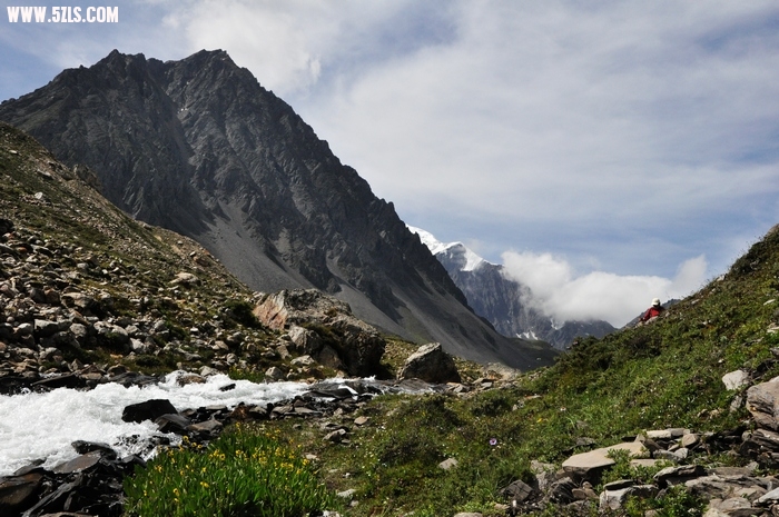 DSC_0467-1.jpg