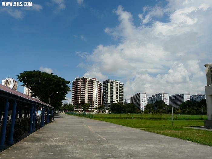 P1150081.jpg