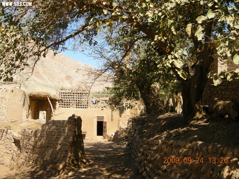 DSCN4559.JPG