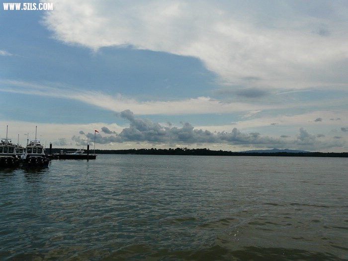 P1140546.jpg