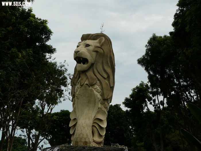 P1140636.jpg