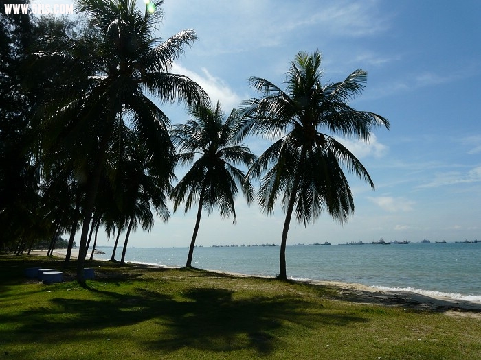 P1150001.jpg