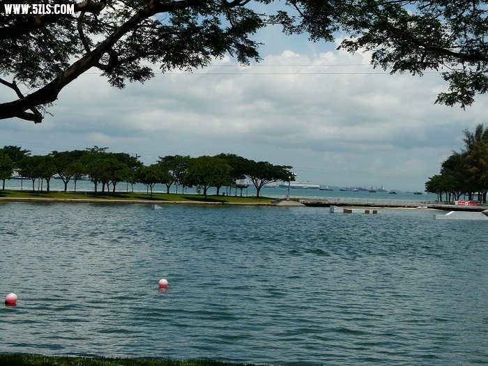 P1150058.jpg