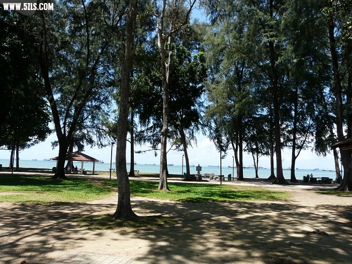 P1150049.jpg