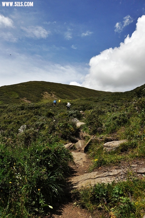 DSC_0498-1.jpg