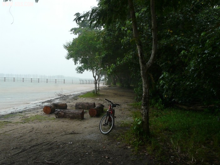 P1150101.jpg