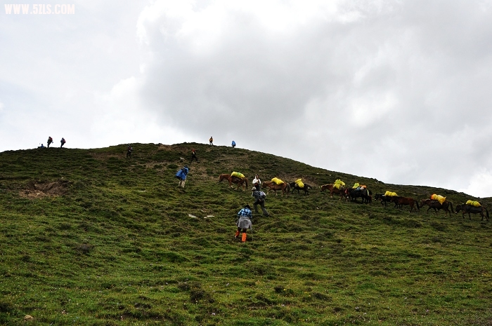 DSC_0521-1.jpg